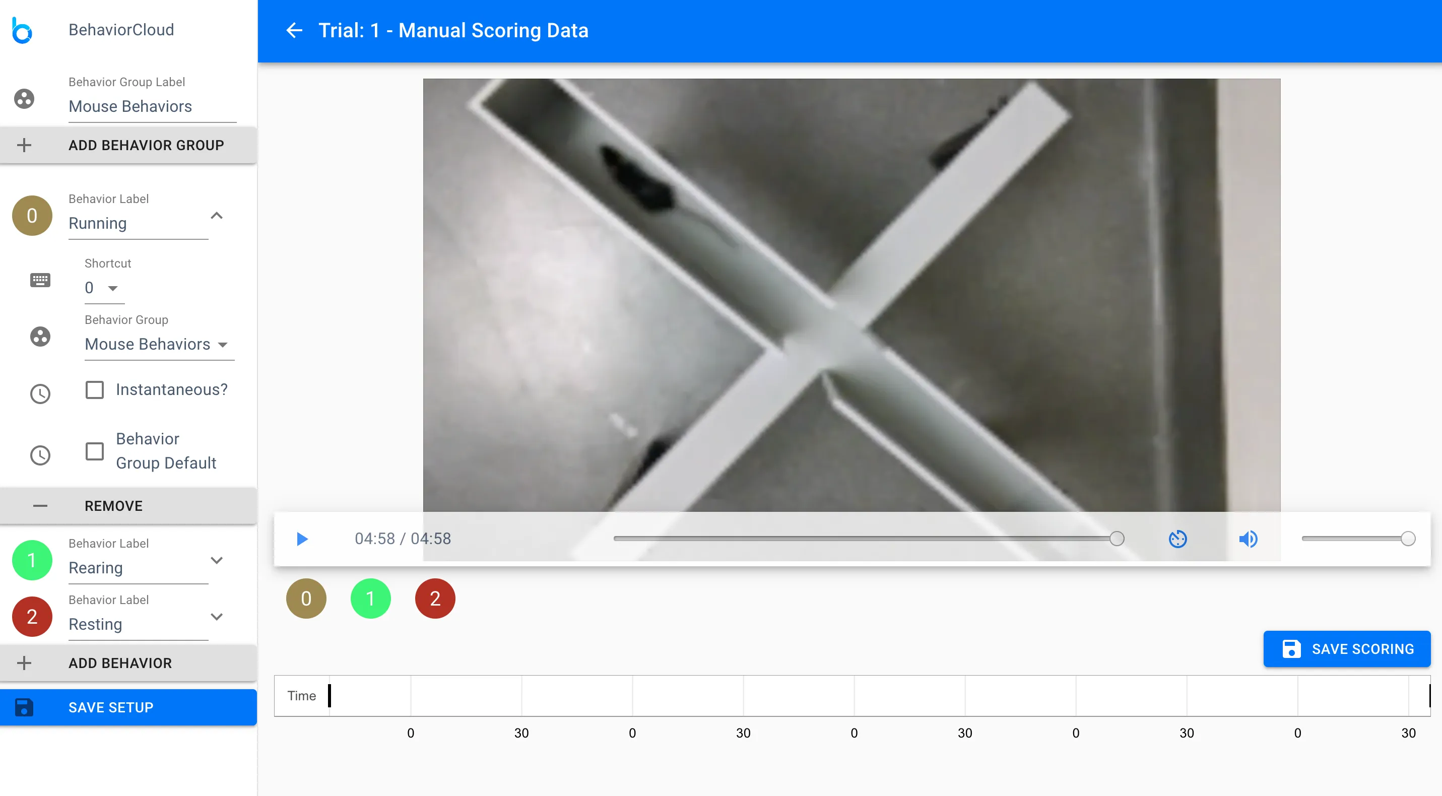 Setting up manual scoring options