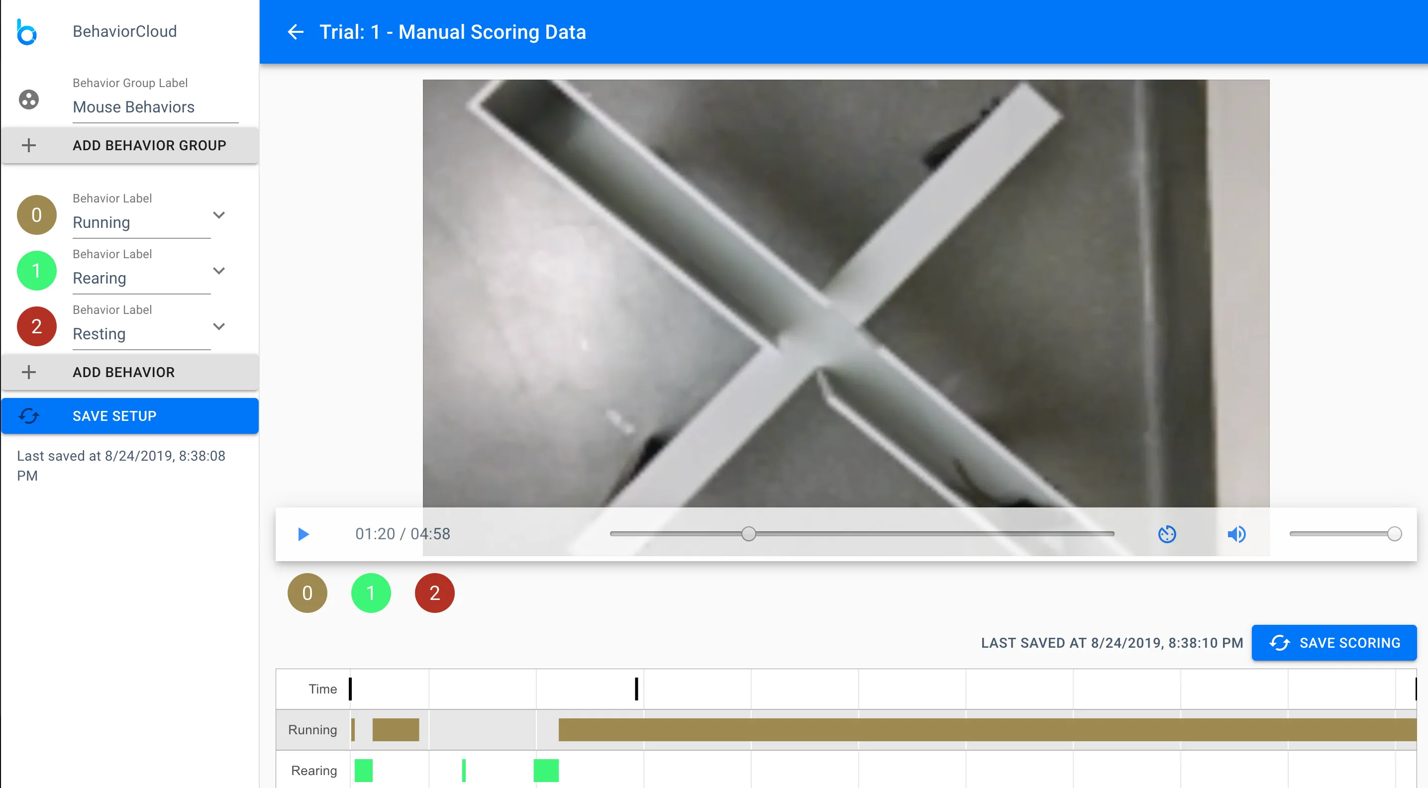 Manually scoring a video